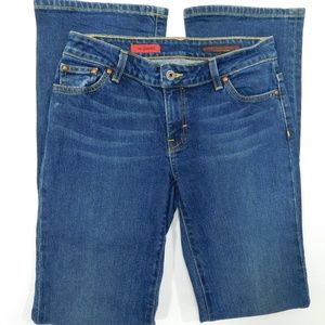 AG the Gemini 4 / 27x34 dark w/ fades